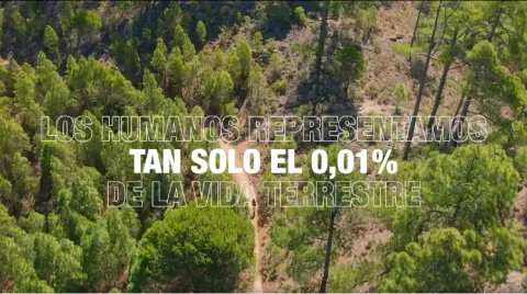 Islas Canarias celebra el Día de la Tierra mostrando los sorprendentes paisajes del archipiélago.