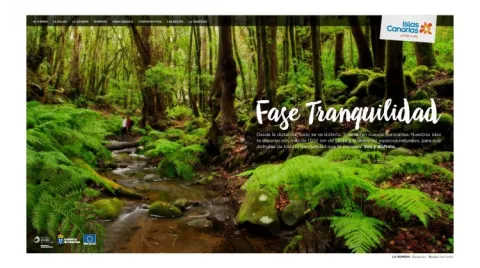 La campaña “Entra en Fase Tranquilidad” de Islas Canarias destaca entre los mejores casos de uso de tecnología programática en España