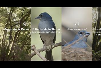 Una de las piezas de "El Canto de la Tierra", la acción de Islas Canarias para celebrar el Día de la Tierra