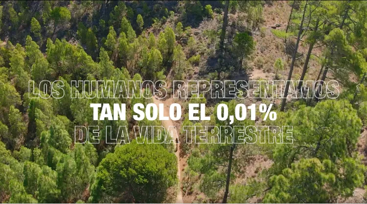 Islas Canarias celebra el Día de la Tierra mostrando los sorprendentes paisajes del archipiélago.