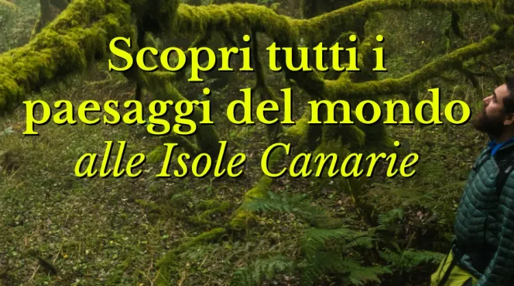 Segunda oleada de la campaña para quienes buscan explorar y conocer la identidad de las Islas Canarias.