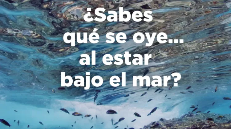 Captura de pantalla del vídeo realizado con motivo del Día Mundial de los Océanos, Islas Canarias